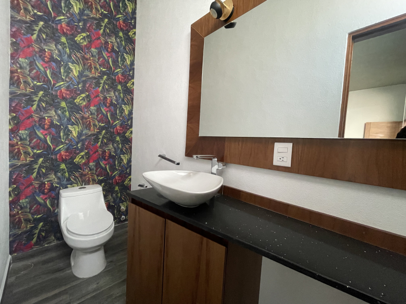 RENTA CASA SEMIAMUEBLADA - TAXCO - ROMA SUR