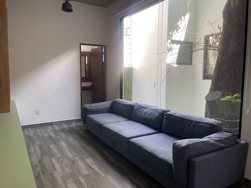 RENTA CASA SEMIAMUEBLADA - TAXCO - ROMA SUR