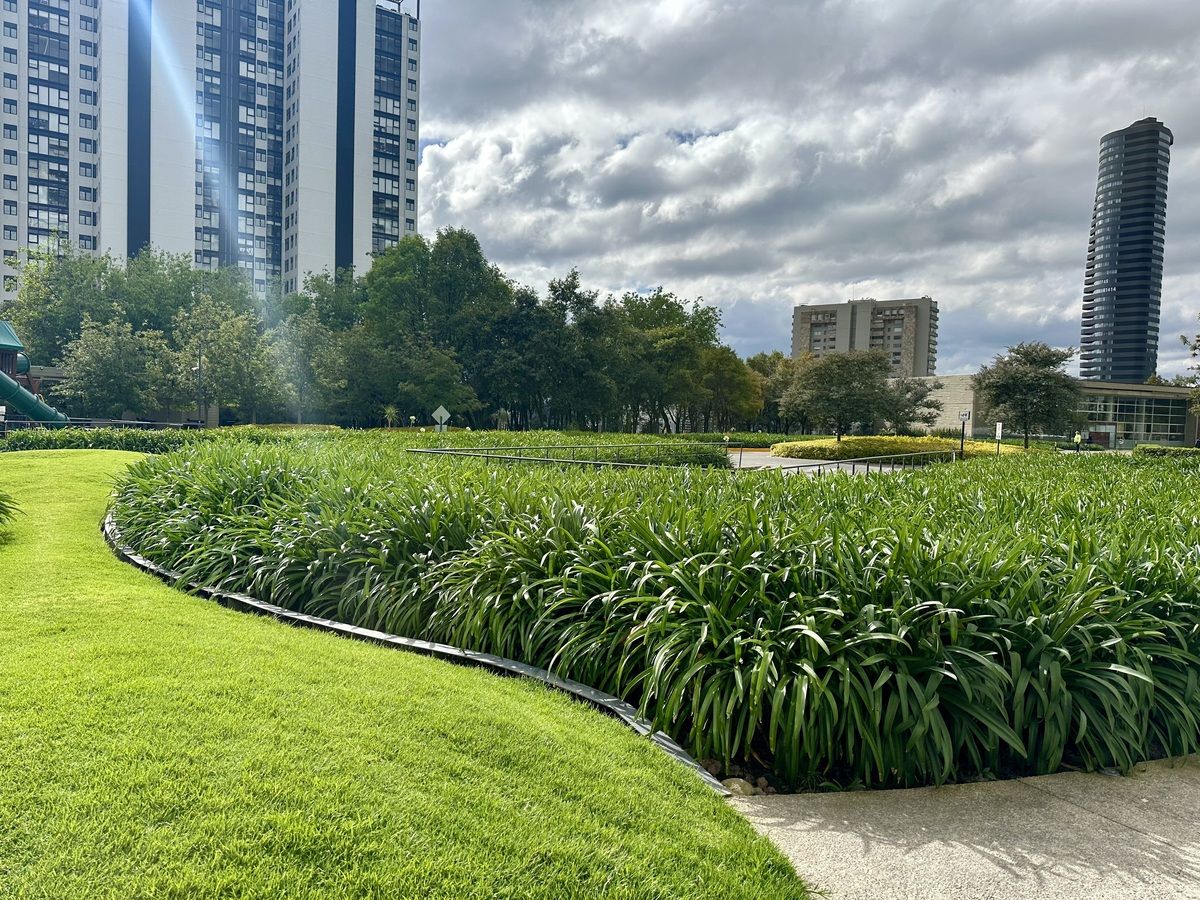 en venta espectacular departamento en lo alto bosque real