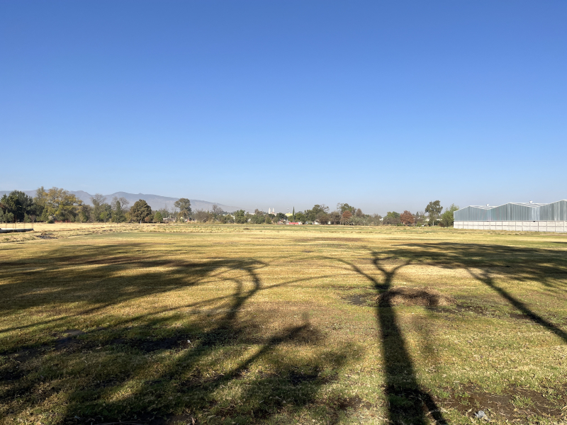 Terreno En Venta En Barrio De Santiago Teoloyucan