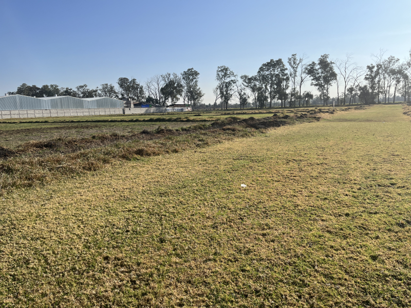 Terreno En Venta En Barrio De Santiago Teoloyucan