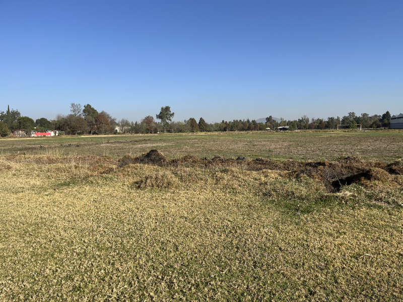 Terreno En Venta En Barrio De Santiago Teoloyucan
