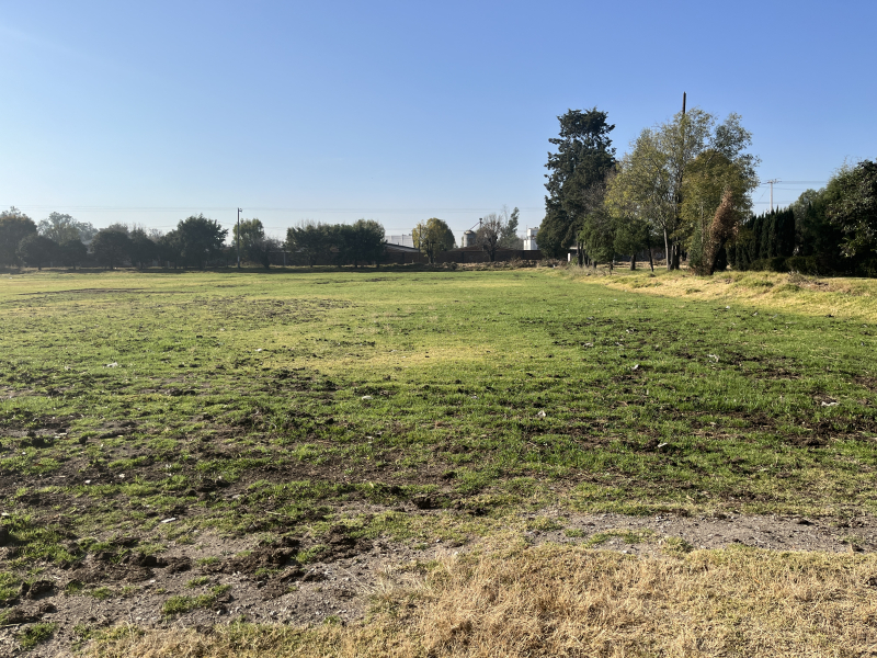 Terreno En Venta En Barrio De Santiago Teoloyucan