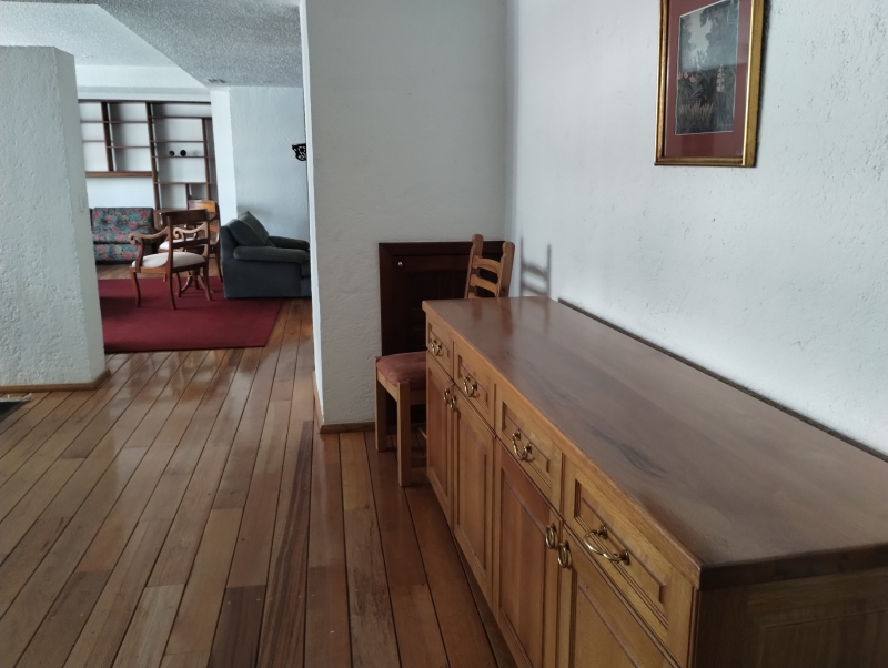 AMUEBLADO EN POLANCO, VISTA HACIA LA FUENTE DE PETROLEOS