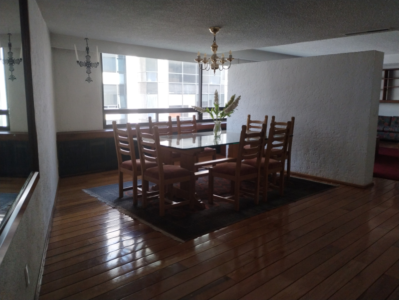 AMUEBLADO EN POLANCO, VISTA HACIA LA FUENTE DE PETROLEOS