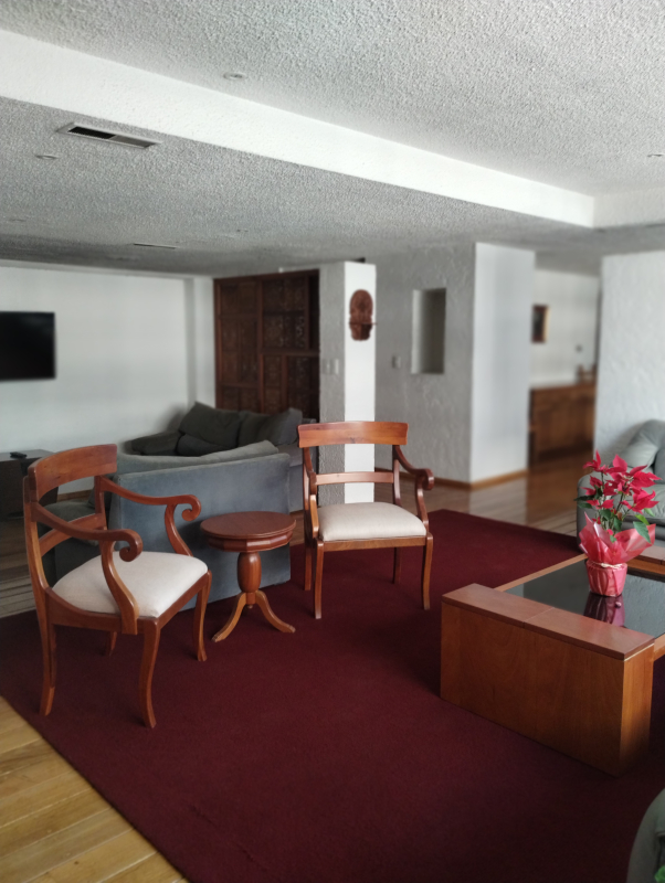 AMUEBLADO EN POLANCO, VISTA HACIA LA FUENTE DE PETROLEOS