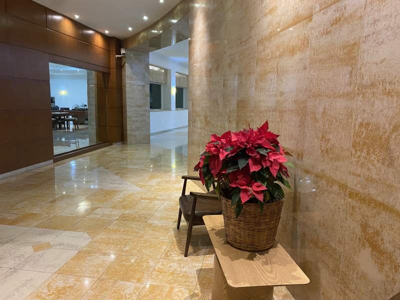 Departamento En Venta En Jesús Del Monte