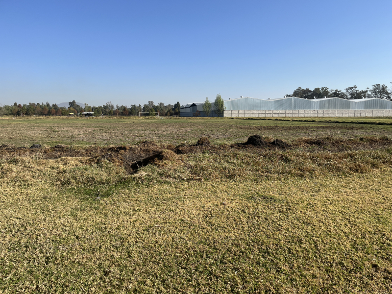 Terreno En Venta En San Bartolo Teoloyucan