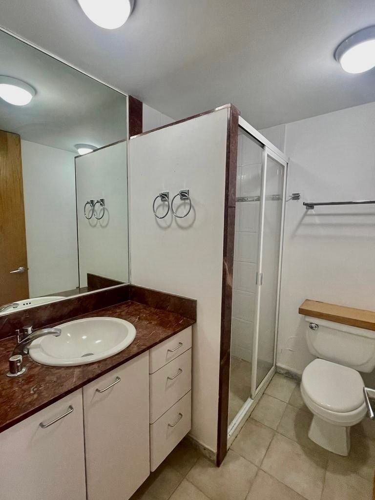 Polanco Venta Departamento Temistocles