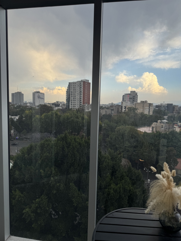 Loft  En Venta En Icon Cibeles 