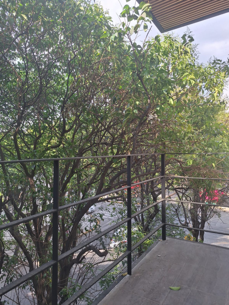 departamento en venta rio grijalva 48 col. cuauhtemoc