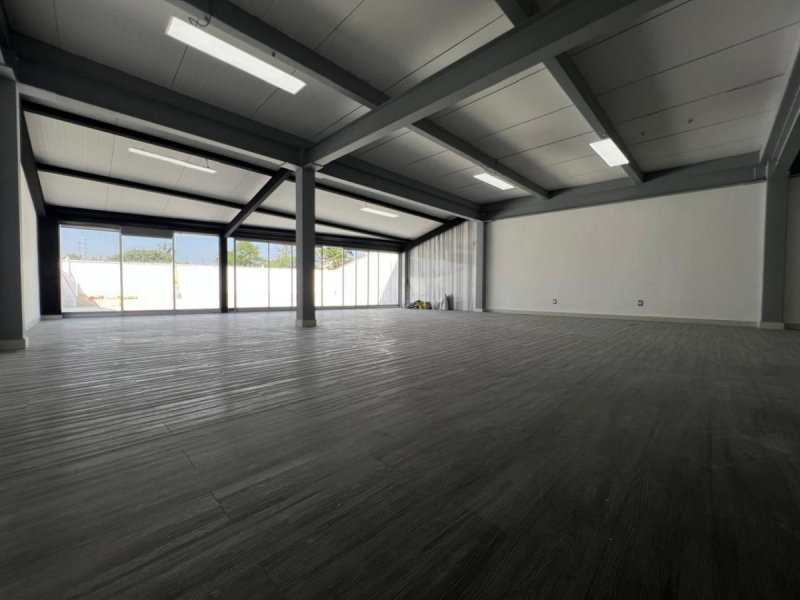 Local Comercial En Renta En Chimalistac