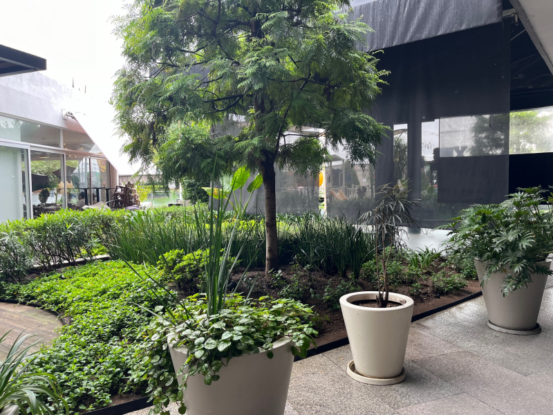 Local Comercial En Renta En Fraccionamiento Valle Real