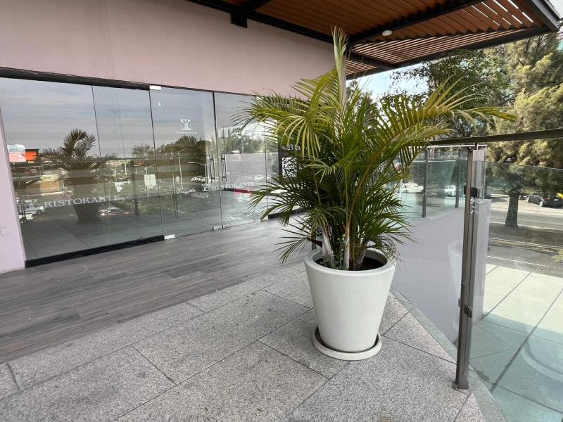 Local Comercial En Renta En Fraccionamiento Valle Real
