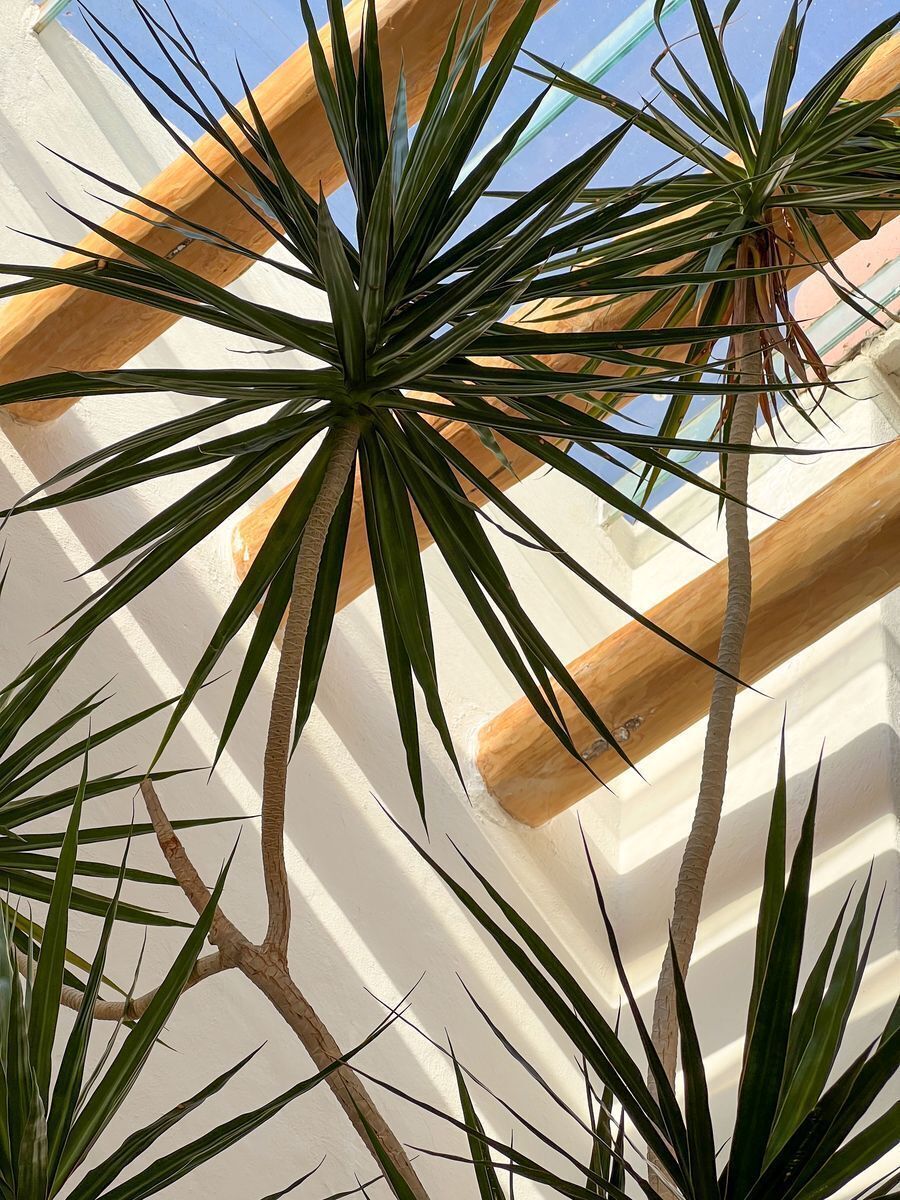 Un Secreto Bien Guardado