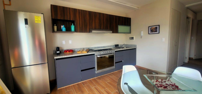 departamento nuevo en promoción venta revolucion 1014 d104