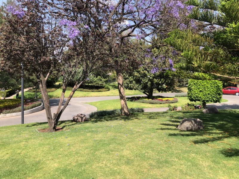 Departamento En Venta En Lomas Anáhuac