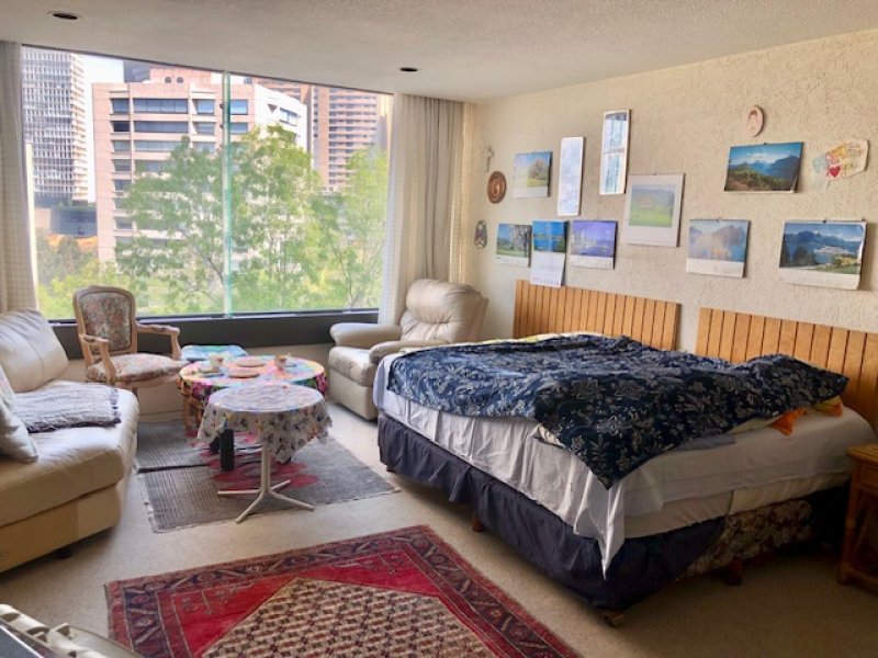Departamento En Venta En Lomas Anáhuac