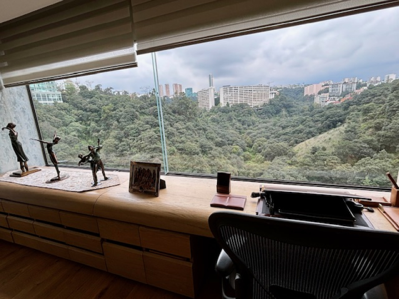 Venta De Departamento En Lomas Anahuac