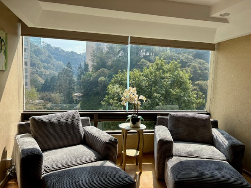 Departamento En Venta En Lomas Anahuac 