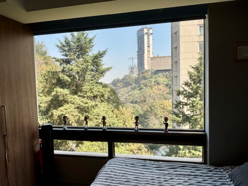 Departamento En Venta En Lomas Anahuac 