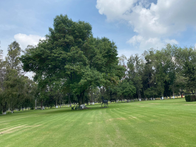 Terreno En Venta En Bosque Real