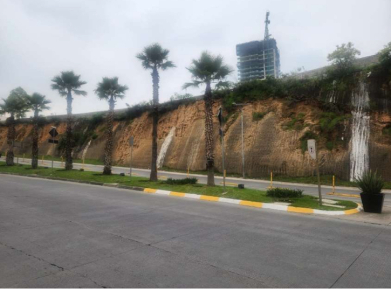 Terreno En Venta En Bosque Real