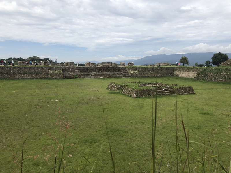 Terreno En Venta En Bosque Real