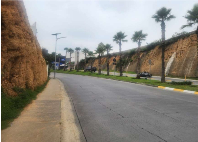 Terreno En Venta En Bosque Real