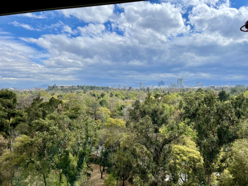 VENTA DEPARTAMENTO CON VISTA ESPECTACULAR -RUB�?N DARÍO - POLANCO