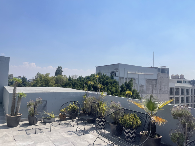 RENTA DEPARTAMENTO- GUANAJUATO- ROMA NORTE