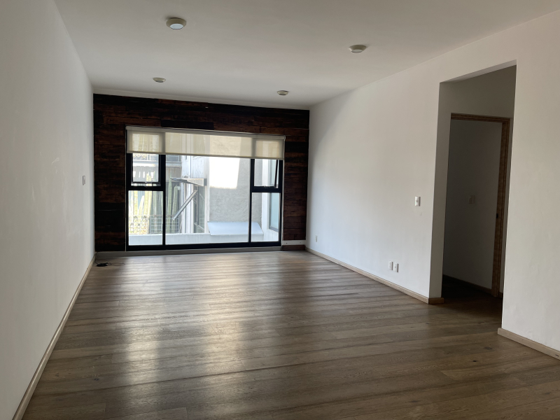 RENTA DEPARTAMENTO- GUANAJUATO- ROMA NORTE