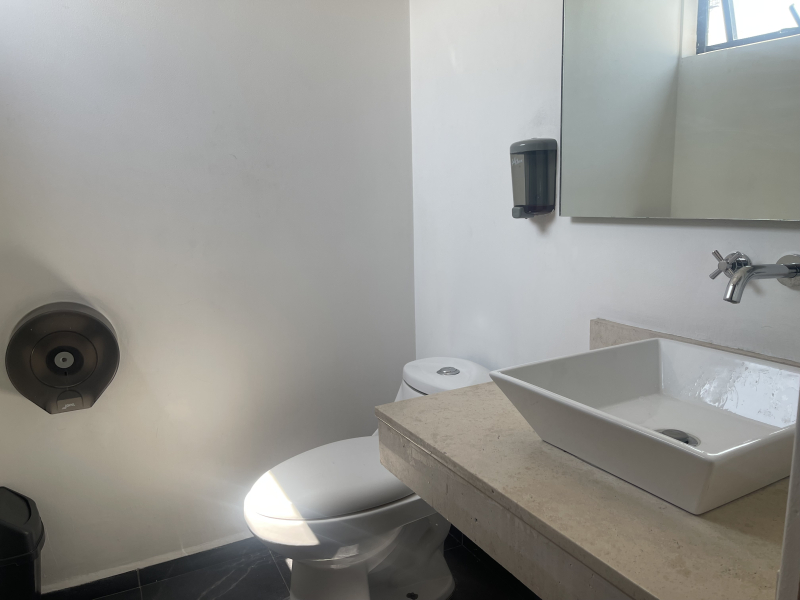 RENTA DEPARTAMENTO- GUANAJUATO- ROMA NORTE