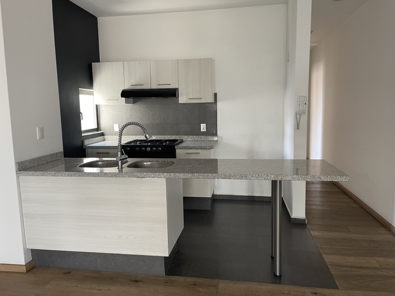 RENTA DEPARTAMENTO- GUANAJUATO- ROMA NORTE