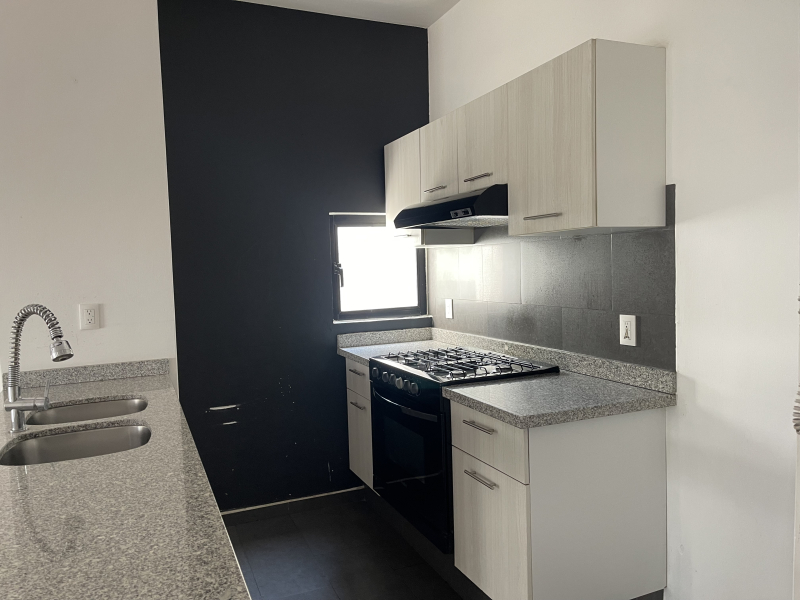 RENTA DEPARTAMENTO- GUANAJUATO- ROMA NORTE