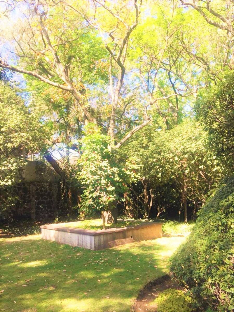 Casa en Venta o Renta en Jardines del Pedregal