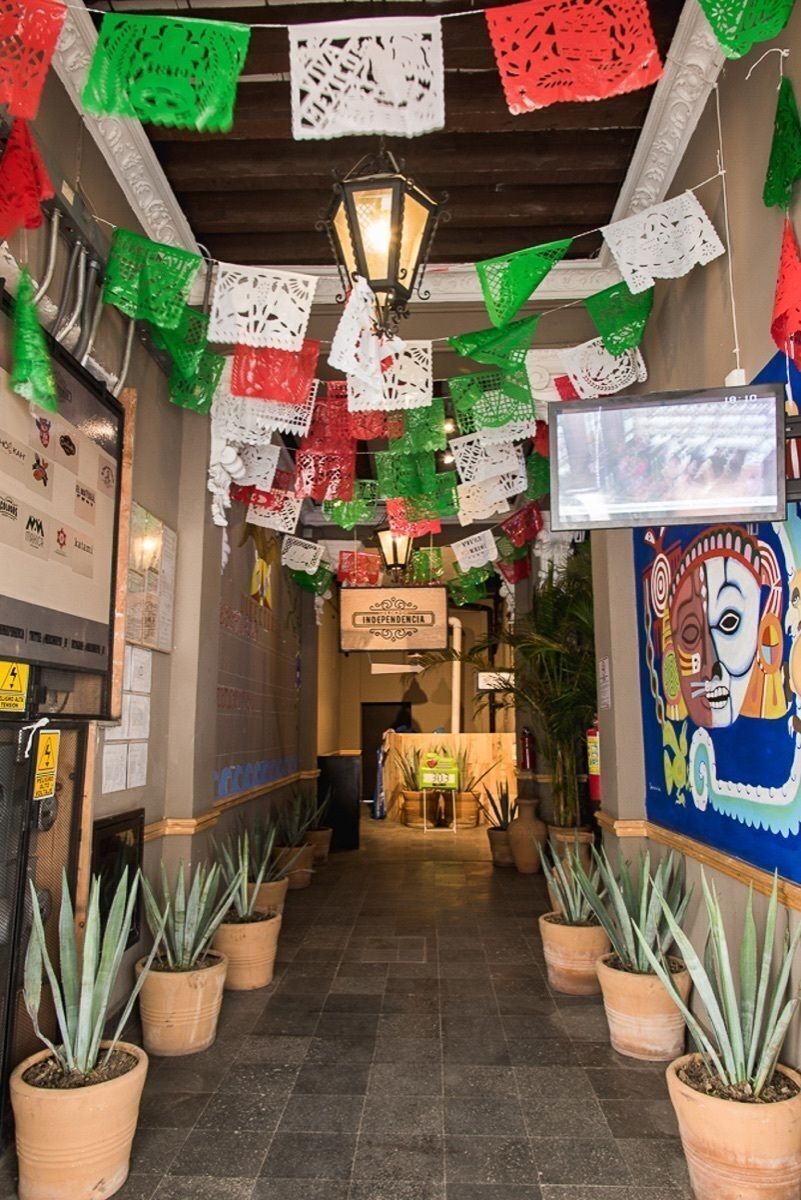 renta local comercial en el centro