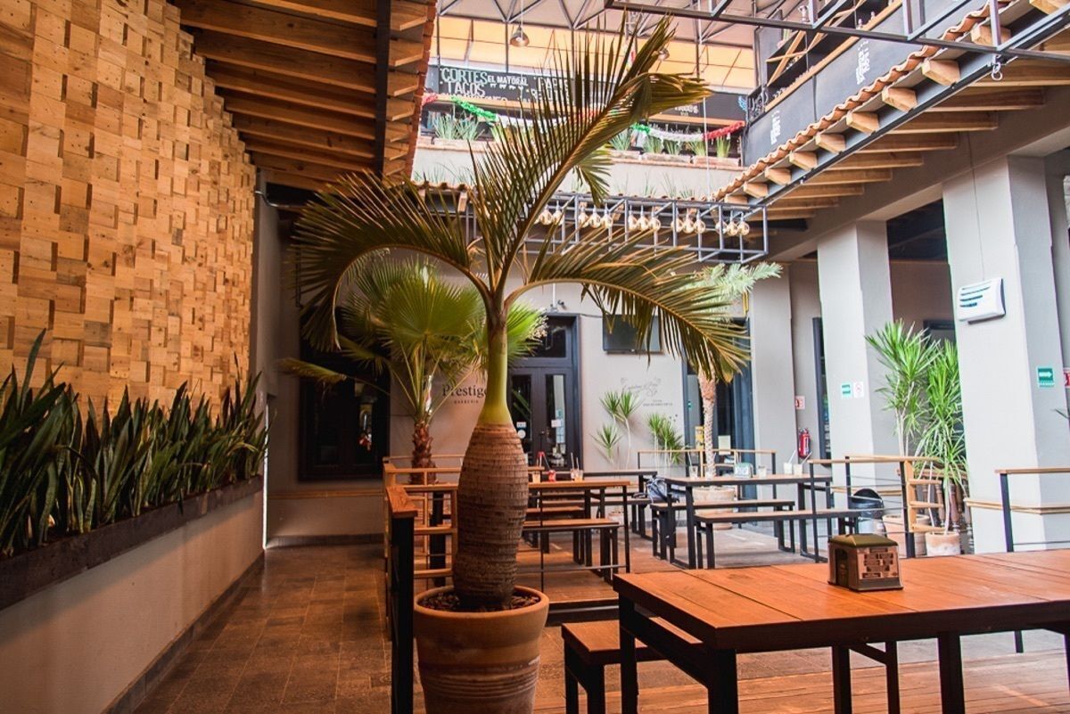 renta local comercial en el centro
