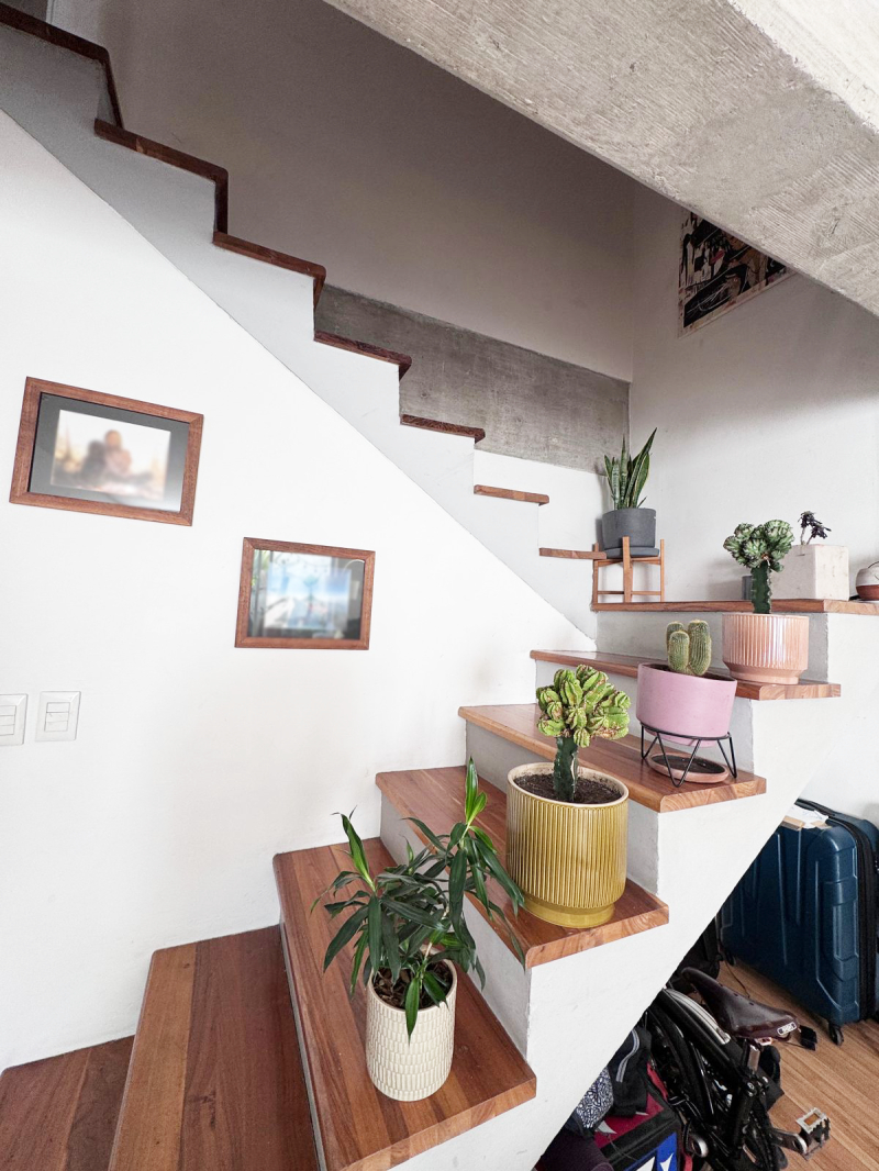 VENTA | Departamento En La Colonia Roma Norte, Zacatecas