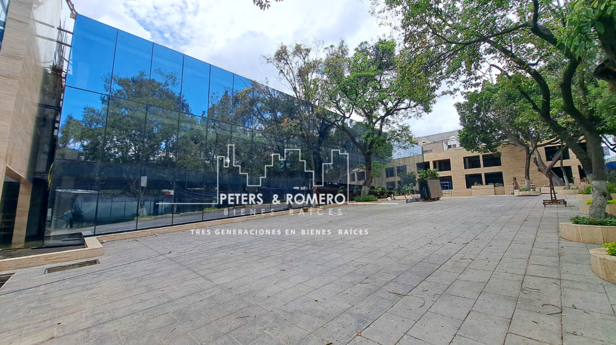 Oficinas en Renta en Altavista