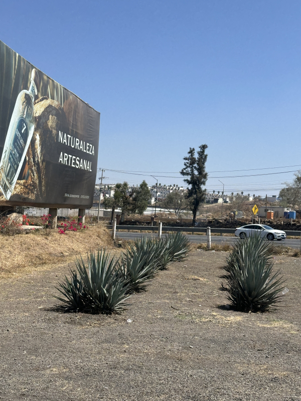 Terreno En Venta En Tonalá Sobre Autopista