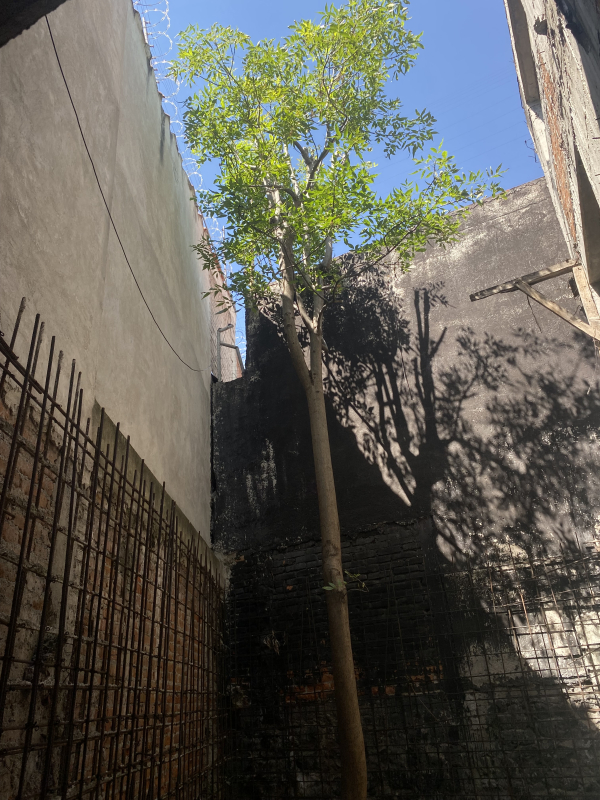 Terreno En Venta En Cumbres De Tepetongo