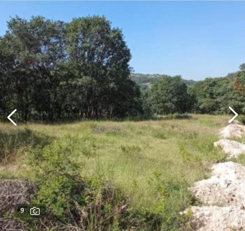 Terreno En Venta En Campestre Haras