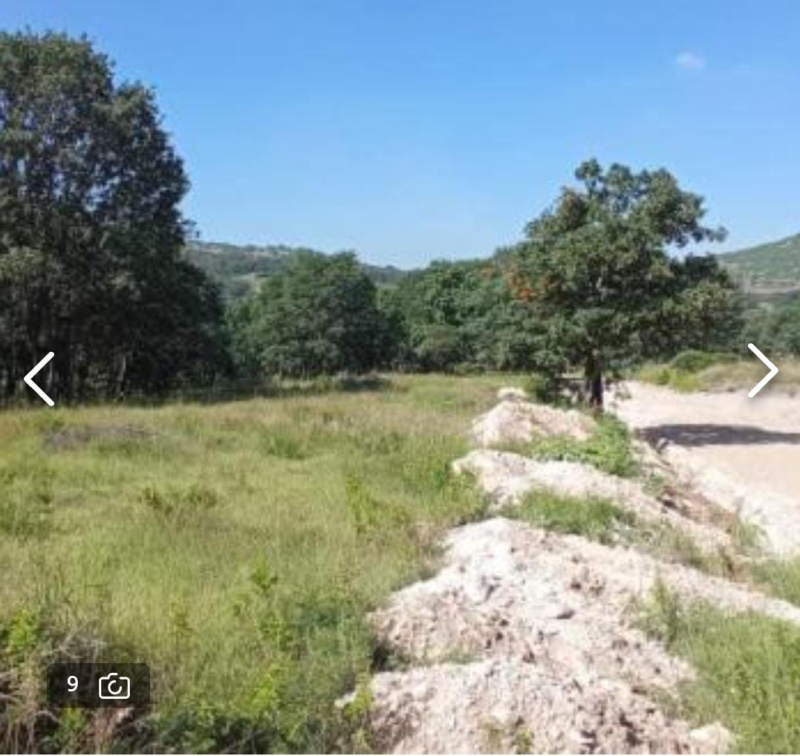 Terreno En Venta En Campestre Haras