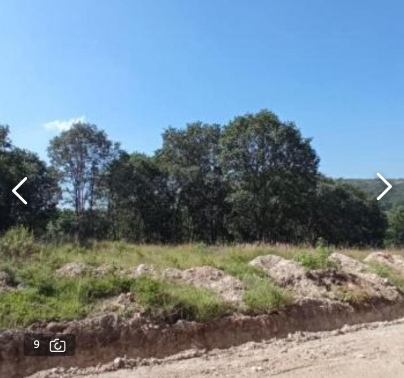 Terreno En Venta En Campestre Haras