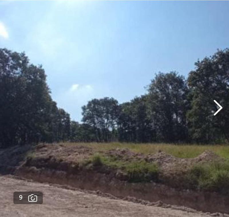 Terreno En Venta En Campestre Haras