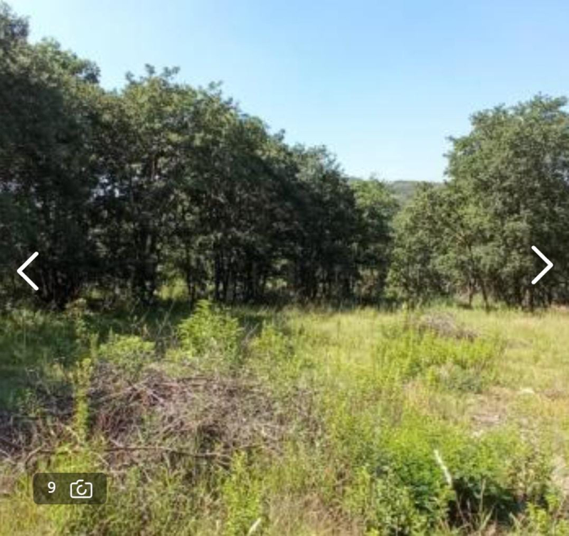 Terreno En Venta En Campestre Haras