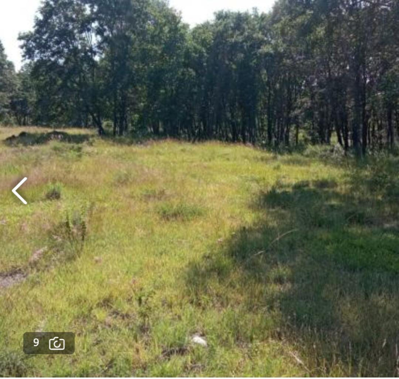 Terreno En Venta En Campestre Haras