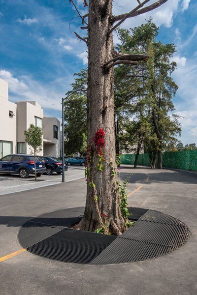¡descubre tu nuevo hogar en reserva de los jinetes!