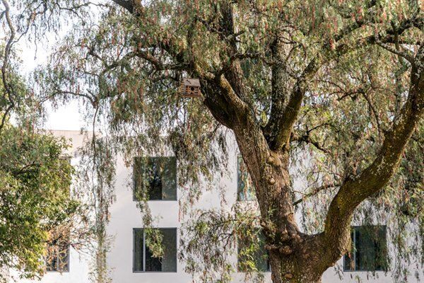 ¡descubre tu nuevo hogar en reserva de los jinetes!